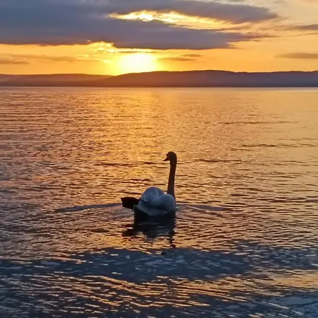 Fobala Balatonfoldvar
