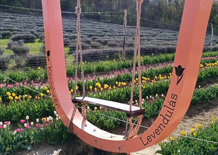 Fobala Апартаменты Балатонфёльдвар