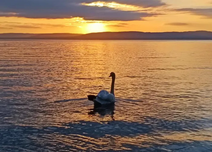 Fobala Балатонфёльдвар